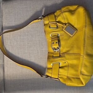 Chartreuse Leather Tignanello Purse